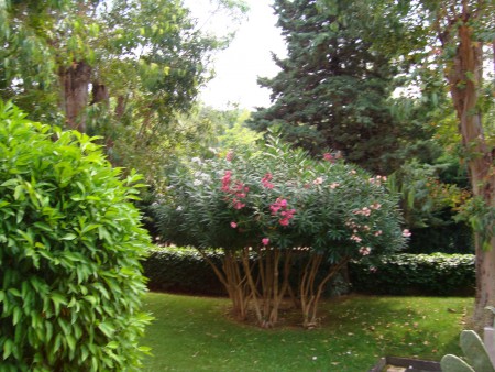 Vista dal terrazzo