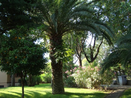 Il parco