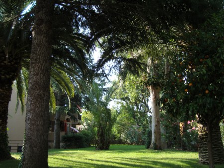 Il parco - Vegetazione mediterranea lussureggiante