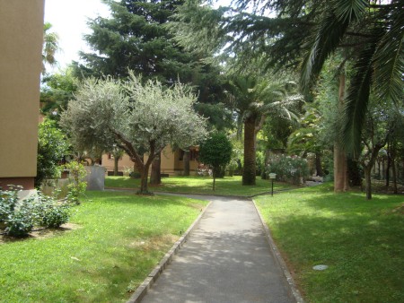 Ancora il parco