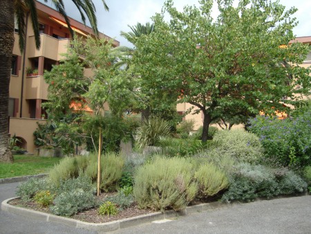 Macchia mediterranea